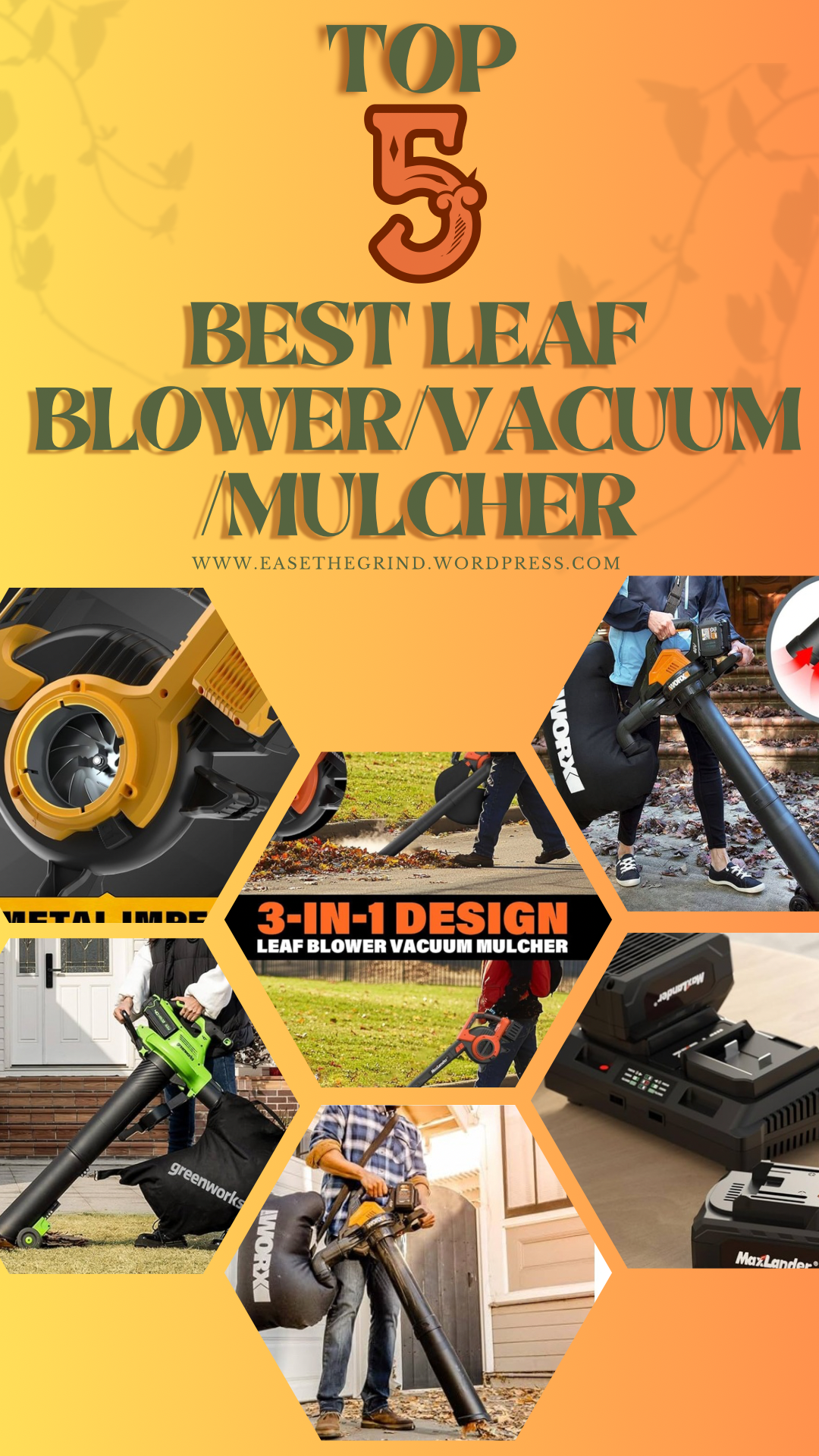 Best Leaf Blower/vacuum/mulcher cover image