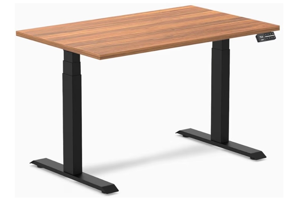Desky Alpha Dual Sit-Stand Gaming Desk — Best Premium Sit-Stand Desk