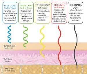 The five colors and what they target
