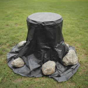 Image: Stump wrapped tightly in black plastic tarp weighed down with rocks.